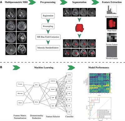 Multiparametric MRI-Based Radiomics Model for Predicting H3 K27M Mutant Status in Diffuse Midline Glioma: A Comparative Study Across Different Sequences and Machine Learning Techniques